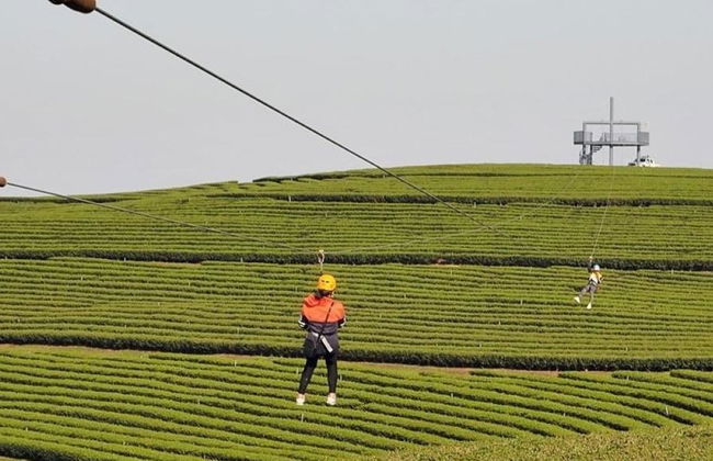 3D-Erlebnis Chiang Rai: Kochkurs, Chiang Saen, Goldenes Dreieck, Singha Park, Weißer & Blauer Tempel - Foto 3